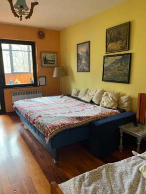 Apartman M